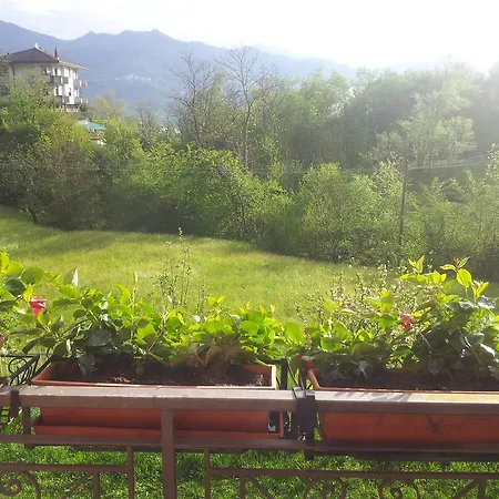 I Tre Ciliegi * Sant'Omobono Terme
